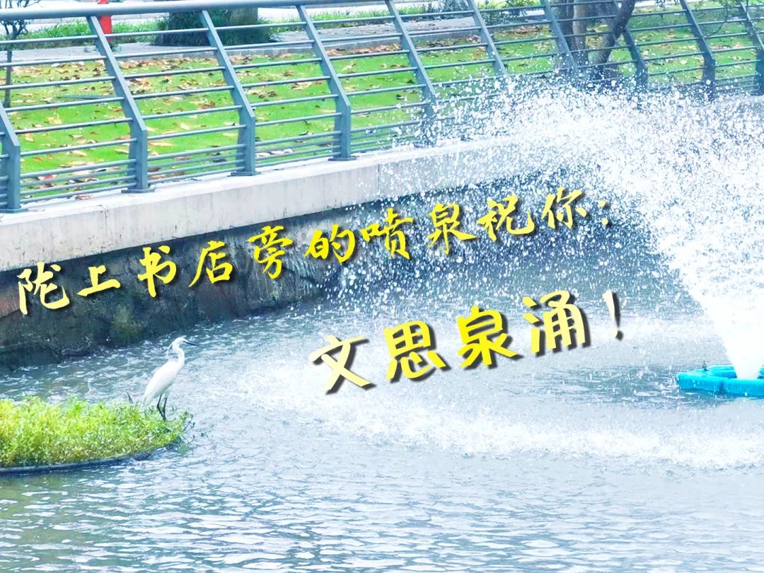 华理2021年本科招生章程新鲜出炉~今朝出鞘试锋芒!下一站:华理!