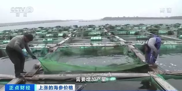 体彩足球竞猜能挣钱吗现在,体彩足球竞猜能挣钱吗现在