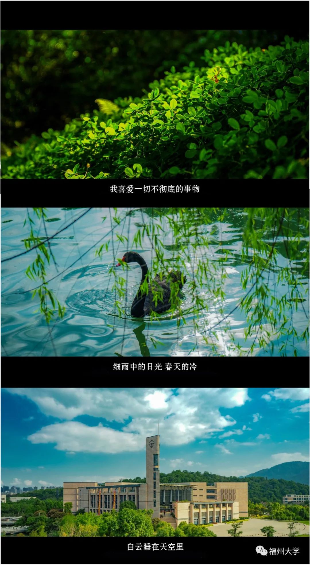 咱们用四年拍了一部片子,明天上映!(图3) 咱们用四年拍了一部片子,明天上映!(图3)