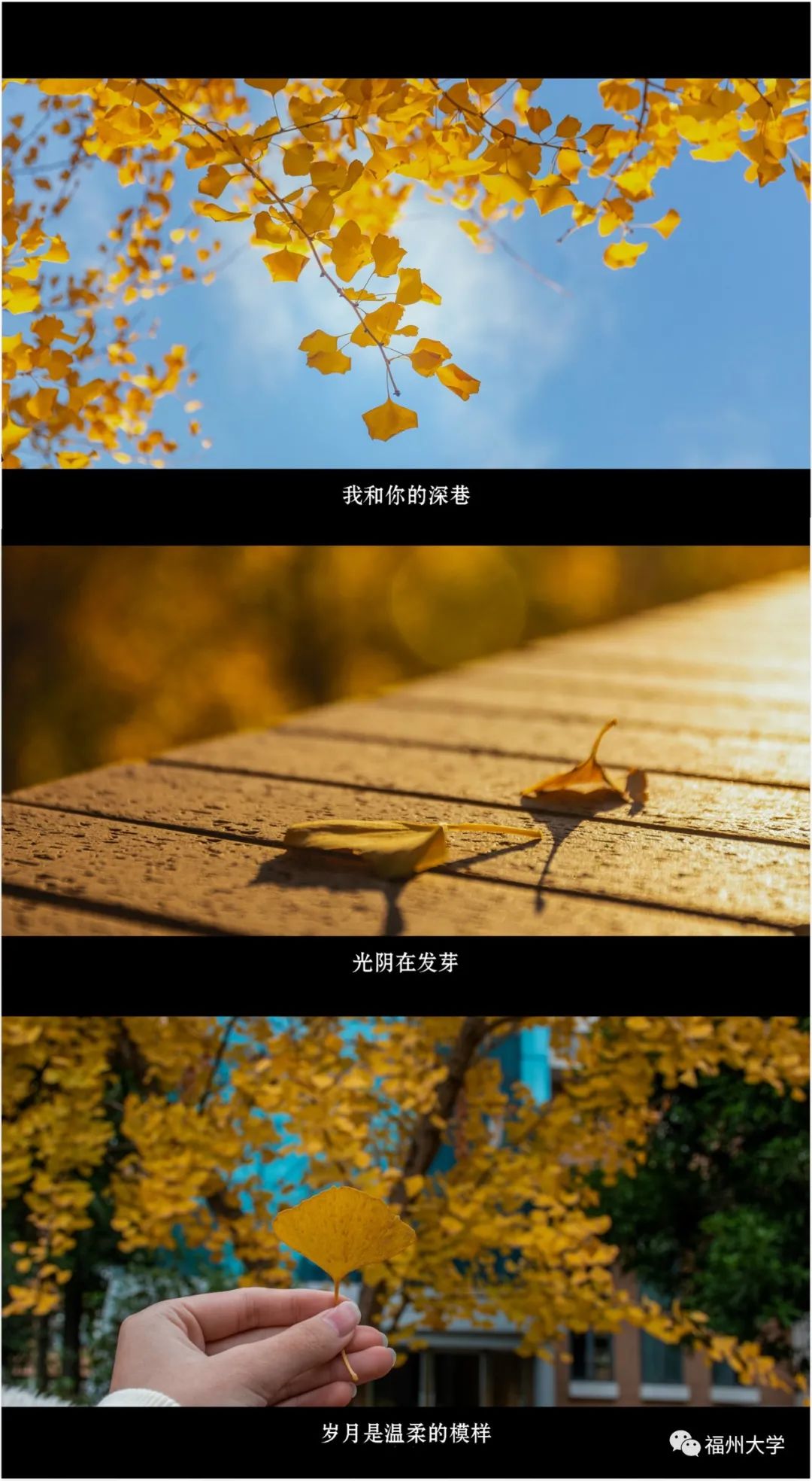 咱们用四年拍了一部片子,明天上映!(图11) 咱们用四年拍了一部片子,明天上映!(图11)