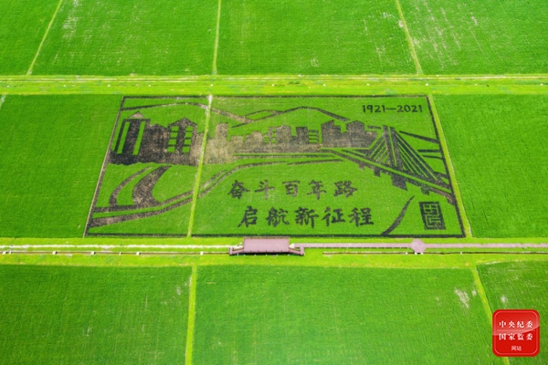镜头 | 风景这边独好