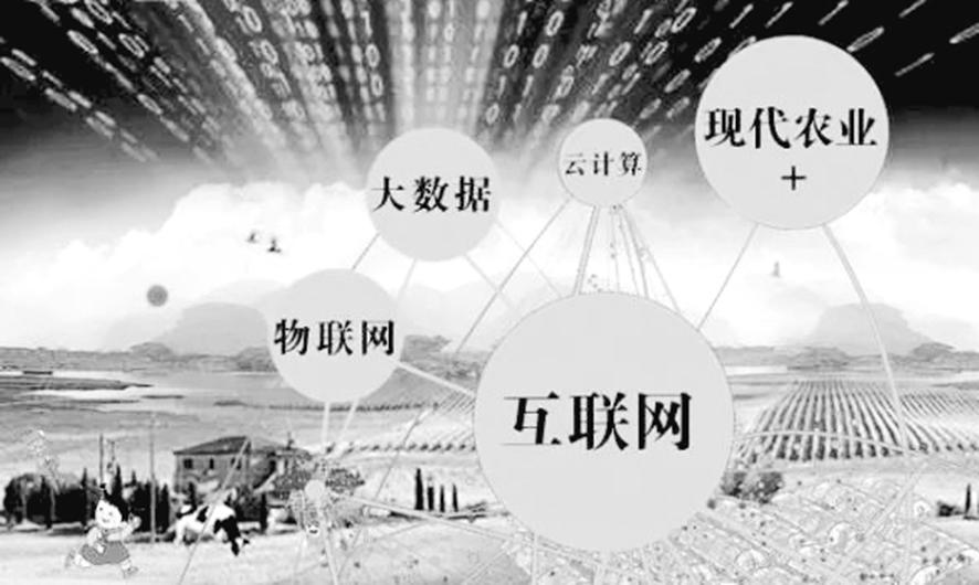 农业社会化服务 民企机会多多