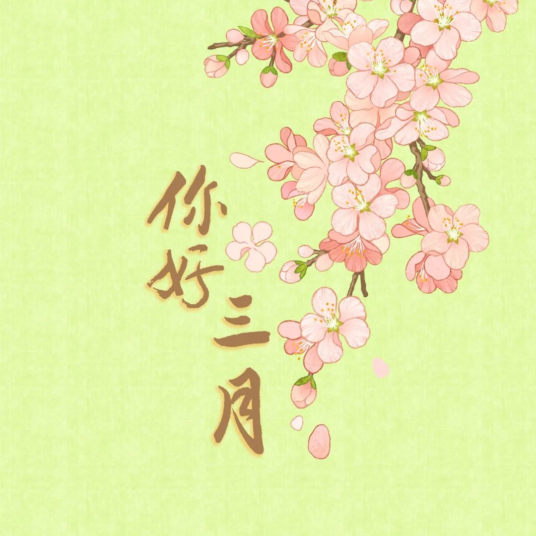 盛夏七月,向光进发!
