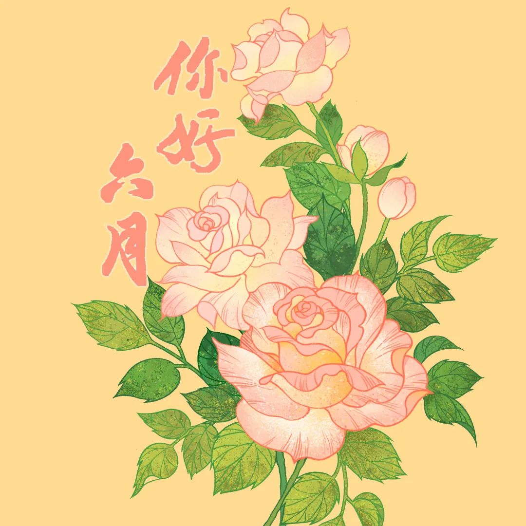 盛夏七月,向光进发!