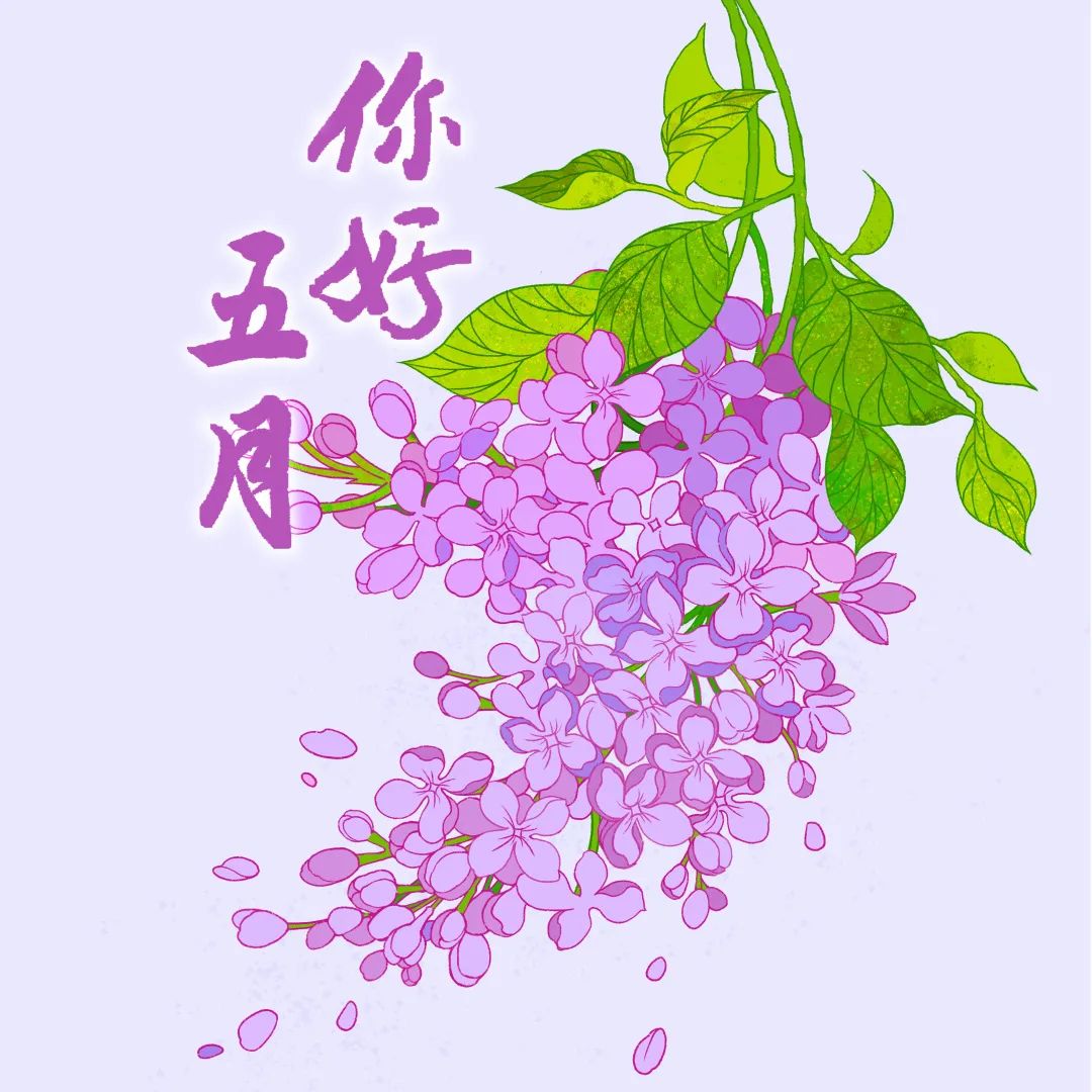 盛夏七月,向光进发!
