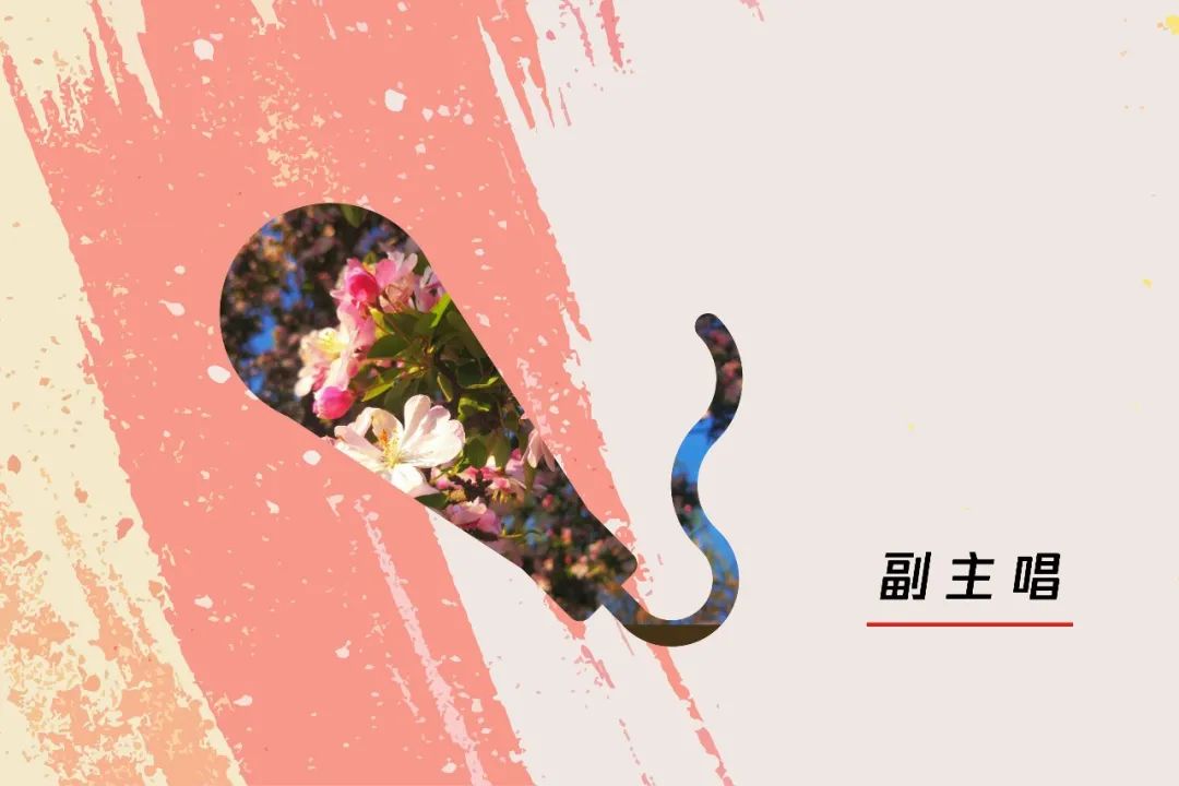 这个夏天,让我们“歌唱”起来!