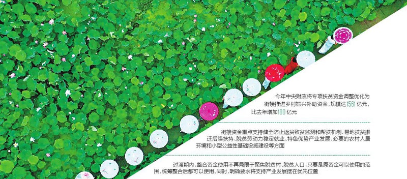 财政帮扶如何“再送一程”? 巩固拓展脱贫攻坚成果同乡村振兴有效衔接第一年