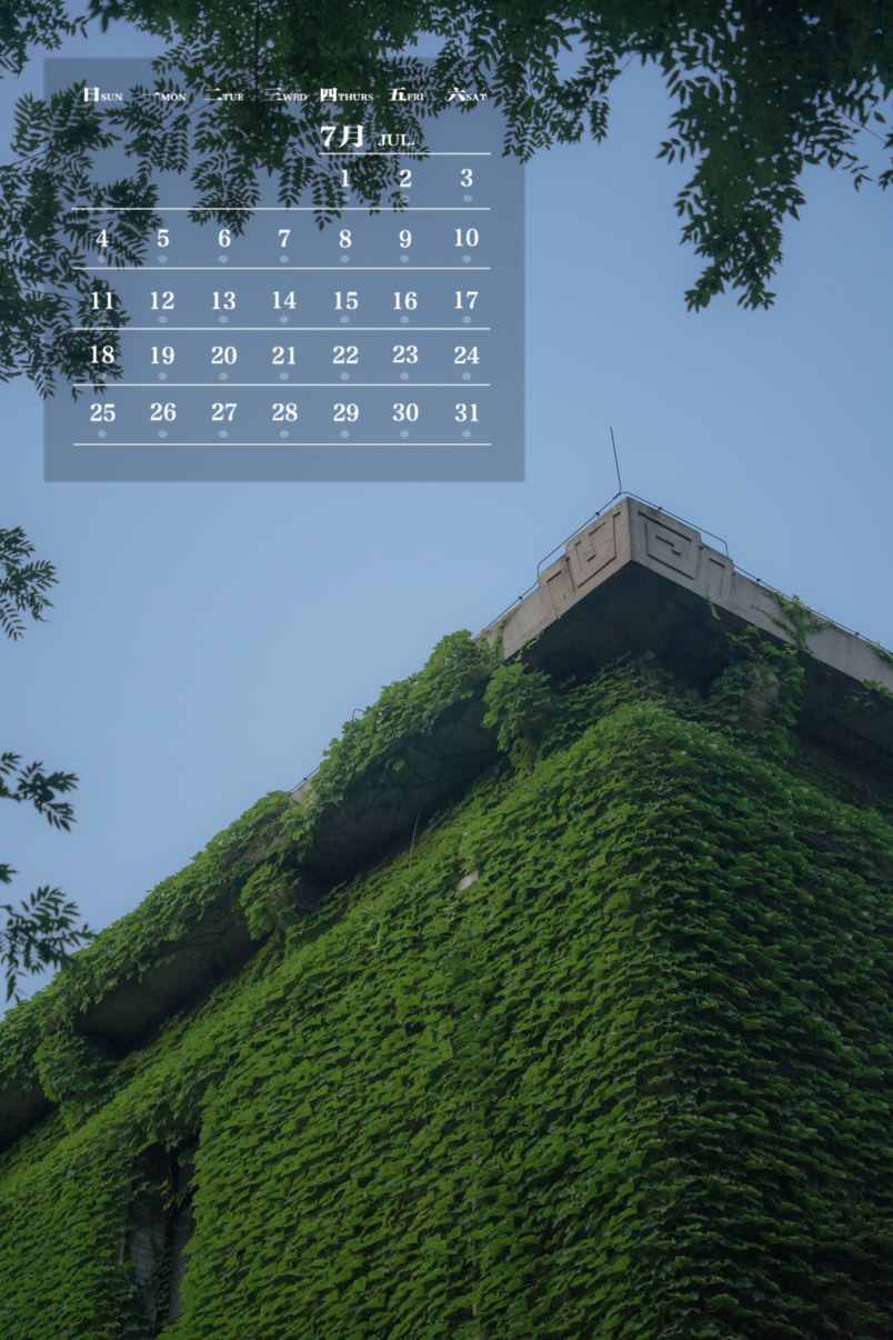 师大月历 | 迎接夏花的清晨,开启绚烂生活
