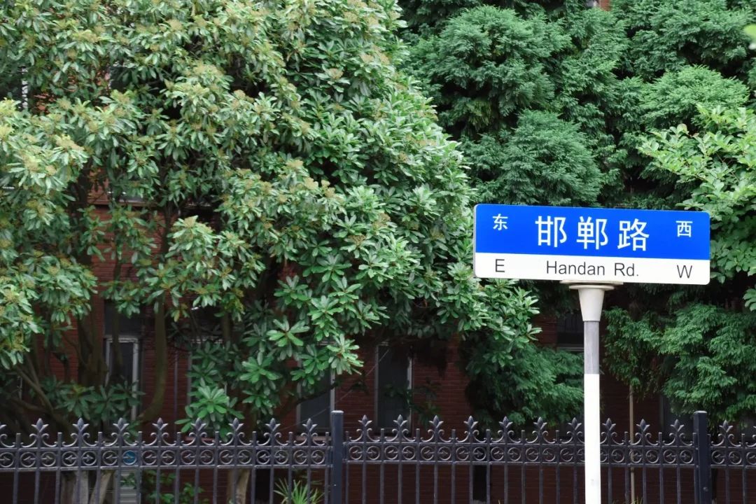 小暑:绿荫加冷饮,复旦园赠你一份清凉