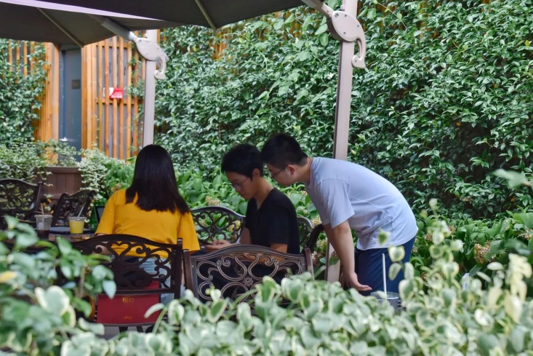 小暑:绿荫加冷饮,复旦园赠你一份清凉