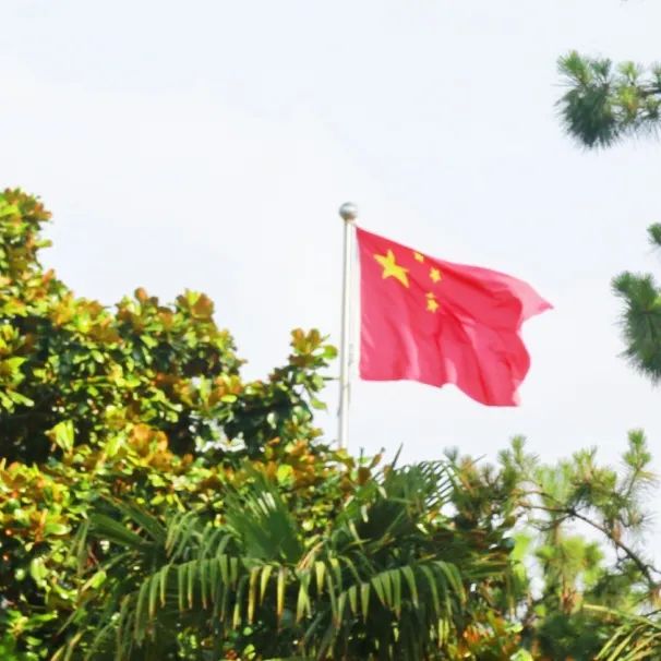 小暑:绿荫加冷饮,复旦园赠你一份清凉