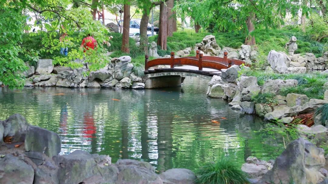 小暑:绿荫加冷饮,复旦园赠你一份清凉