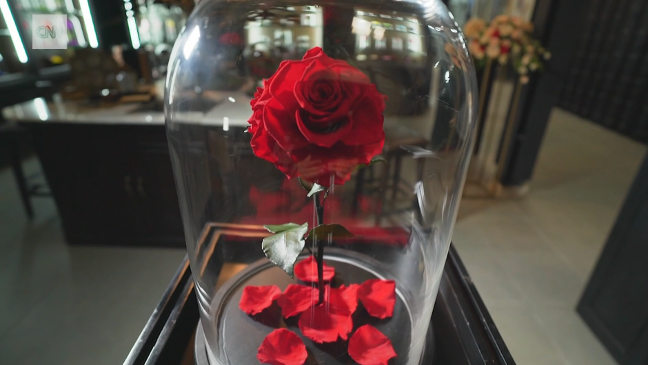 迪拜一花店出售“永恒玫瑰”售价8万美元