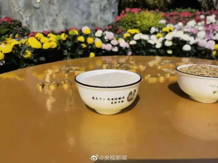 袁隆平院士墓盖上放着两碗米饭