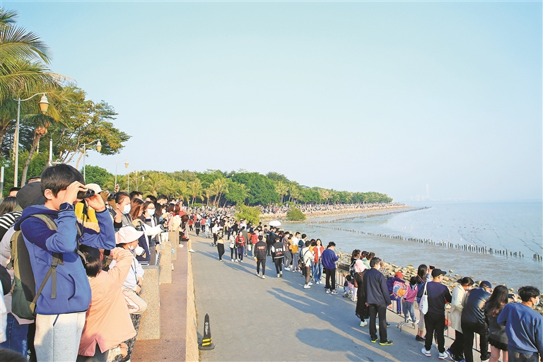 ▲1月1日，在深圳湾公园观鸟的市民游客。深圳晚报记者 陈玉 通讯员 韩跃武 谢燕 摄