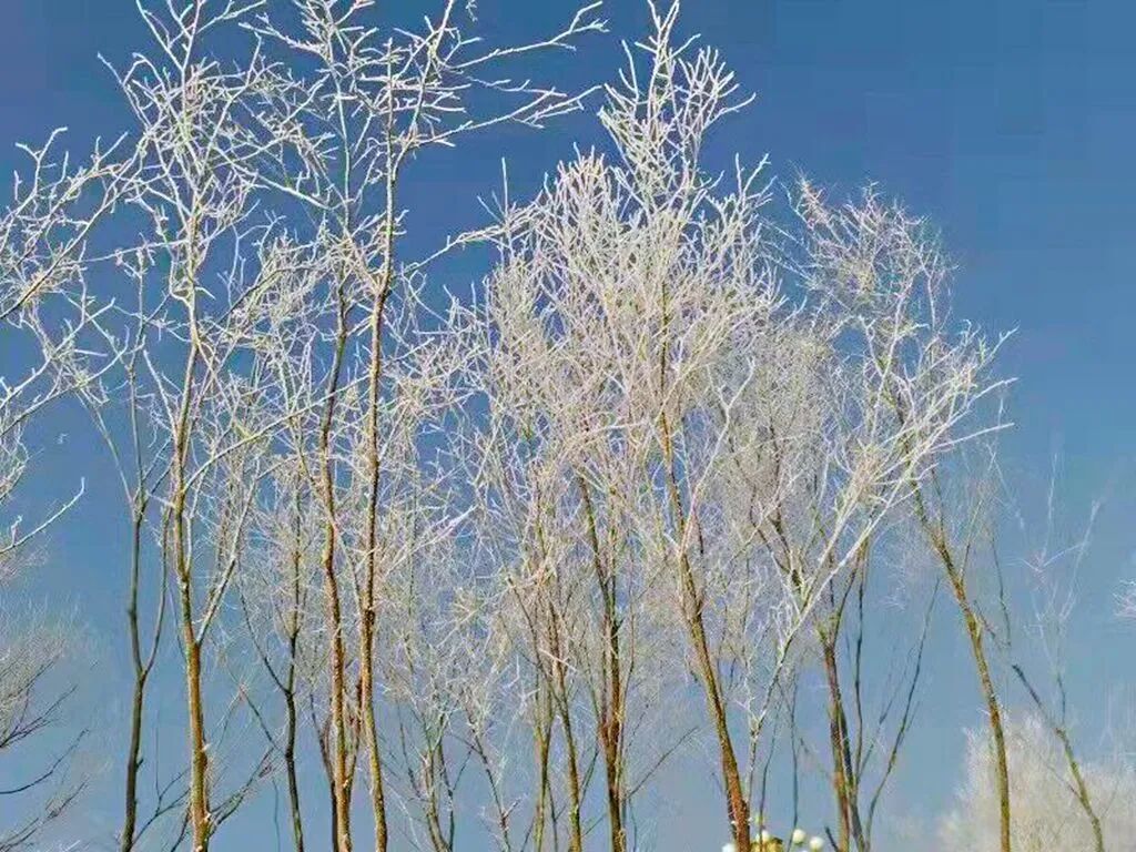 图|李薇吉林市二道江松花江