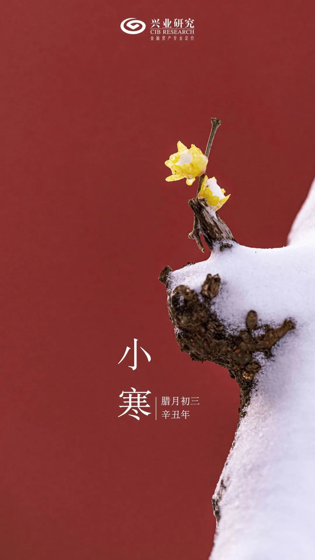 小寒丨小寒料峭盼雪迎春