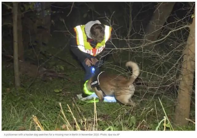 2020年11月，一名警察带着追踪犬在柏林寻找一名失踪男子