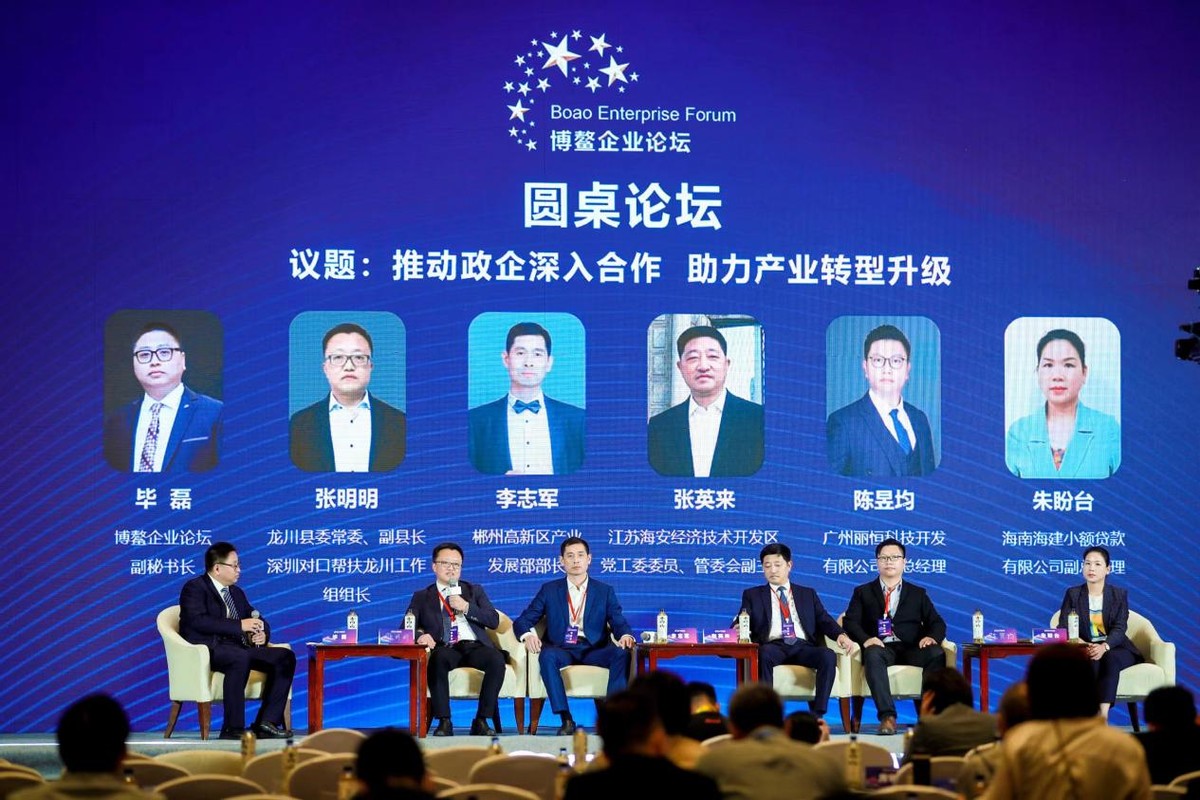 图:政企圆桌论坛