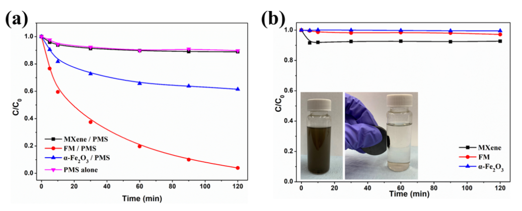 图3 不同反应系统中水杨酸的（a）去除效率和（b）吸附性能。反应条件：[水杨酸]=20 mg/L，[PMS]=0.2 g/L，催化剂=0.2 g/L，T=25℃，初始溶液pH=7.0