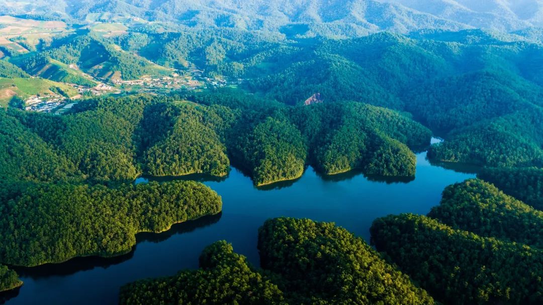 普洱梅子湖 图源：视觉中国