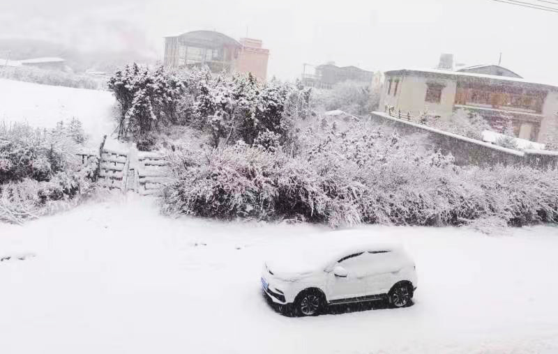 香格里拉降雪 段许琴 李安琪 摄