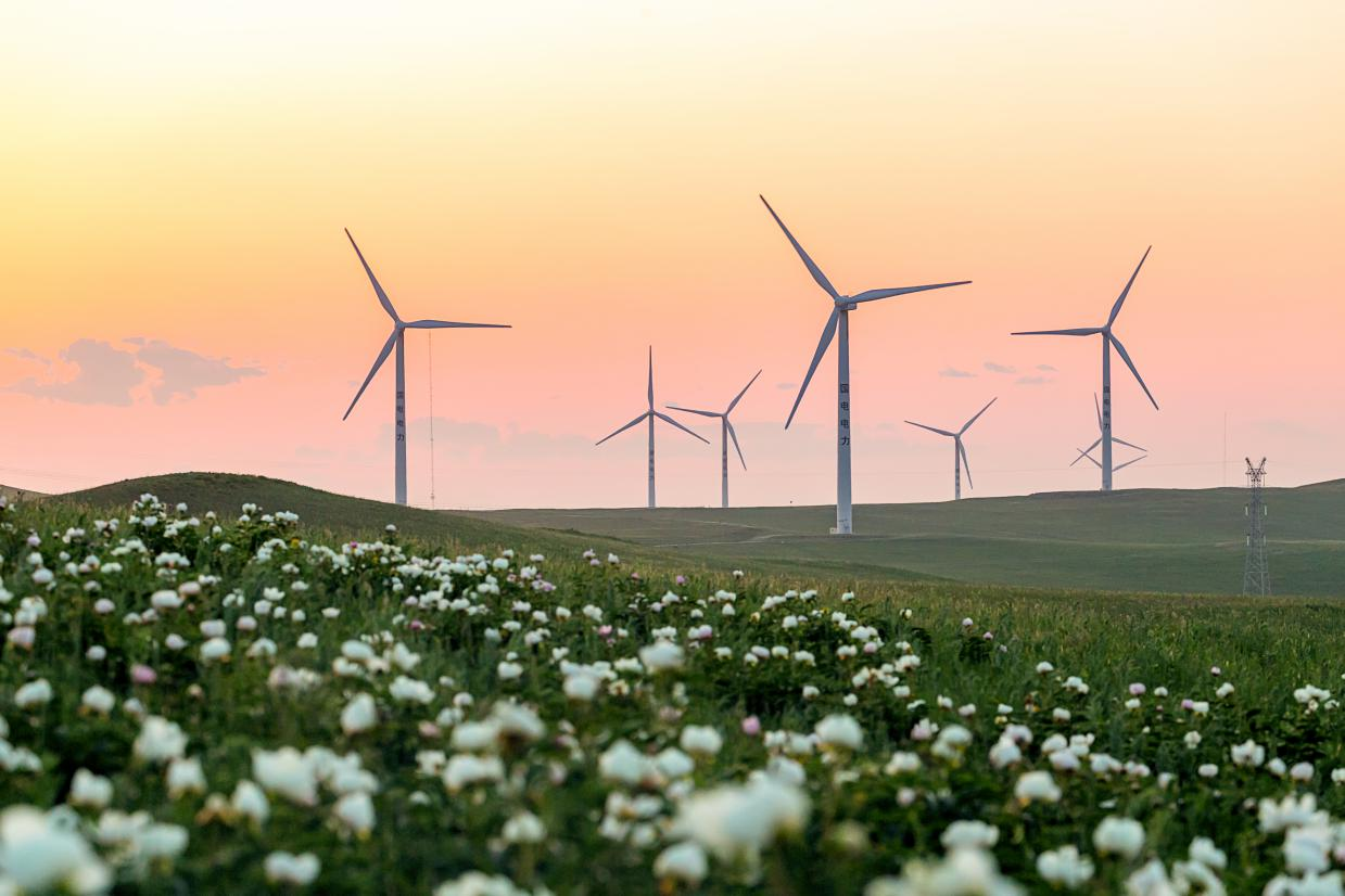 国电电力在内蒙古新能源建设的风电场