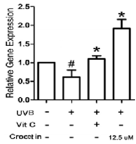 UVB䵼½ԭױ٣crocetinVCܴٽԭױ