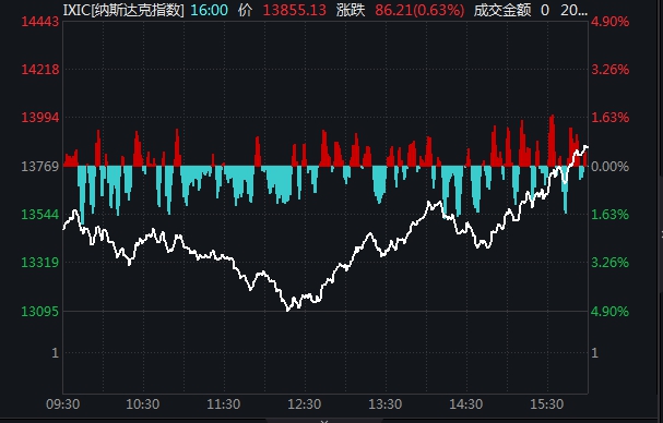 美股惊魂夜！道指千余点反弹，中概股尚乘国际跌19%