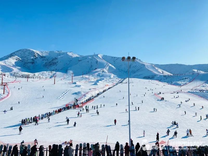 1月26日，将军山国际滑雪度假区，游客滑雪场景。陈阳摄