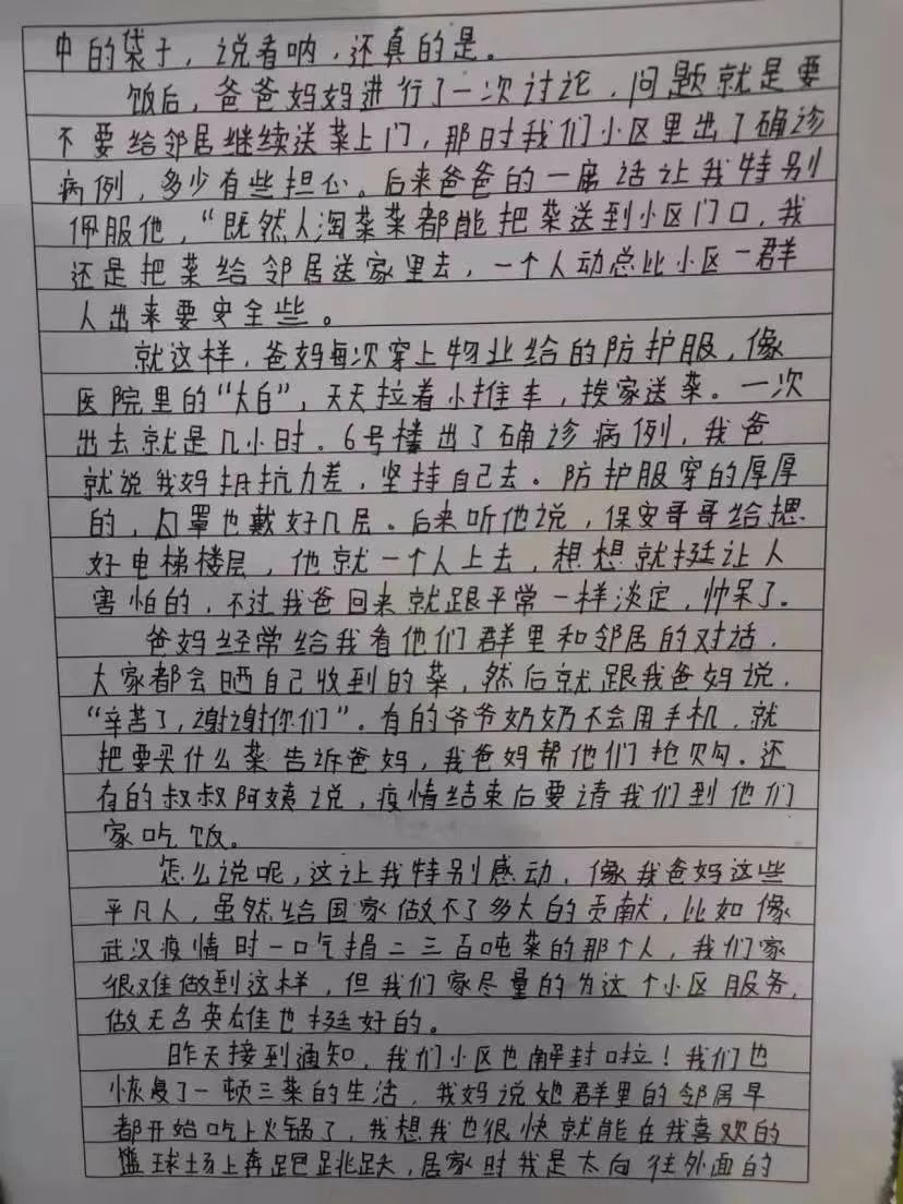 仔仔写的作文（部分）