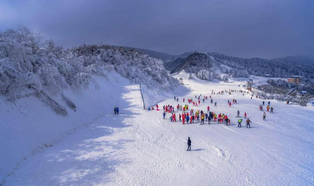 贵州:春节期间冬季旅游项目"热销|贵州省|滑雪场|贵阳市_新浪新闻