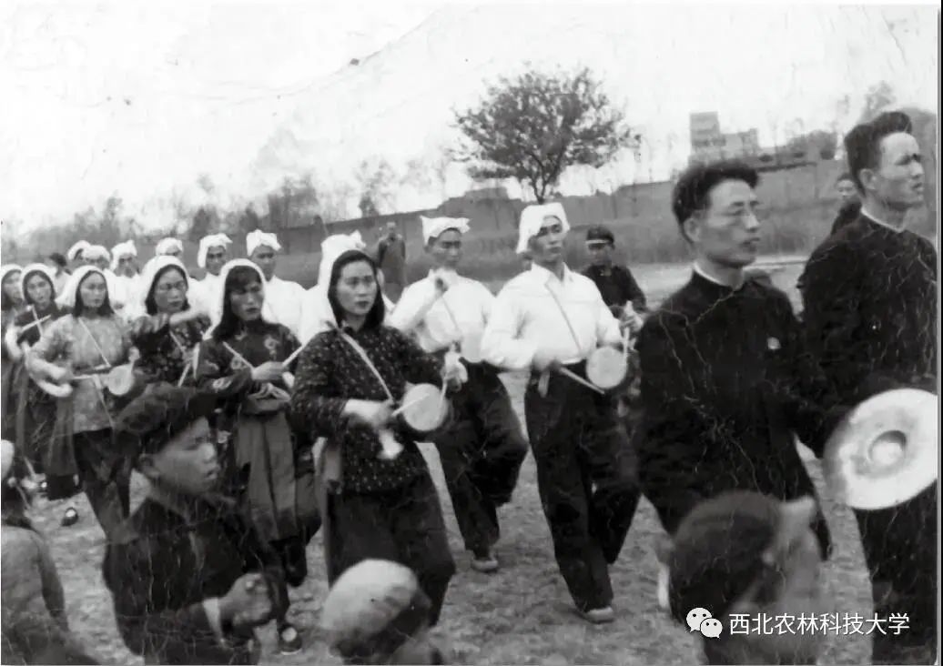 1949年，西农学生、青年教工