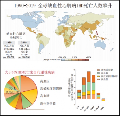 图4:1990-2019年全球缺血性心脏病病例增加情况