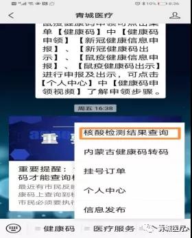 6e0c-81e1e08b6832dac1bfa62f224ac275e7.jpg
