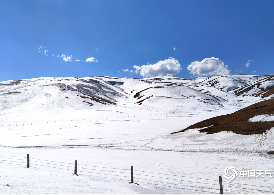 2月17日,曲靖会泽县大海乡草山滑雪场“阳春白雪”美景。蒋琼波 摄