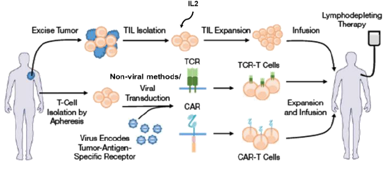 资料来源:AIChE.org、中金公司研究部