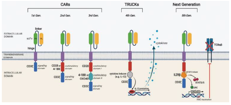 资料来源:Anticancer Research、中金公司研究部