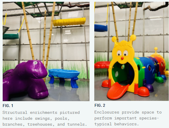 培育设施为实验猴子提供的丰容环境   图片来源：Neuralink