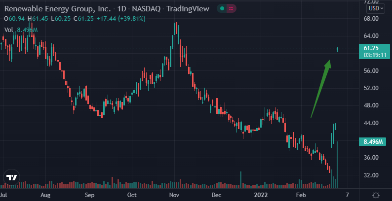 (可再生能源集团股价日线图 图源:Tradingview)