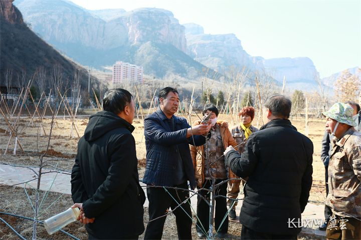 武安:林果专家"坐诊"果园 果树春管忙_新浪财经_新浪网