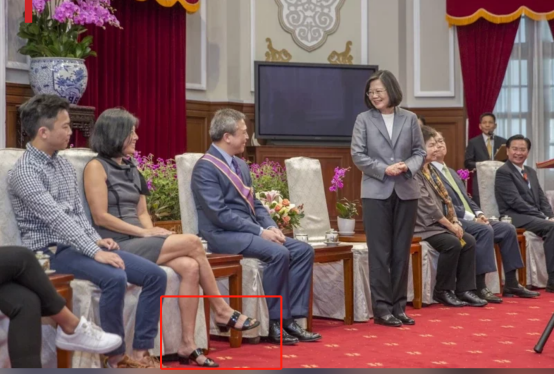 蔡英文见“美国在台协会（AIT）”前处长梅健华（左三）一家，梅健华的妻子陈舲舲（左二）穿拖鞋式的凉鞋。图自台“总统府”