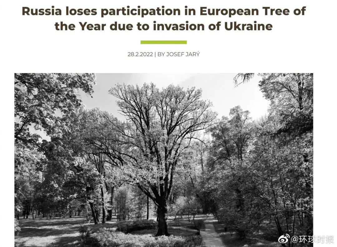 俄罗斯的树，也被制裁了|俄罗斯