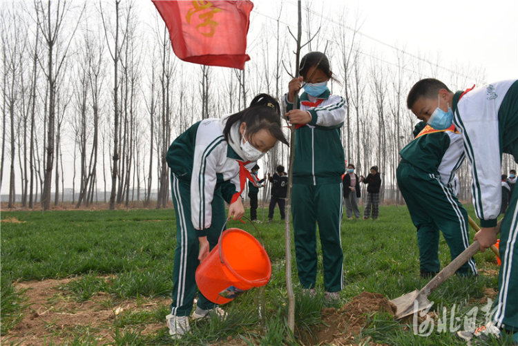 3月11日,邢台经济开发区青介小学学生正在植树.