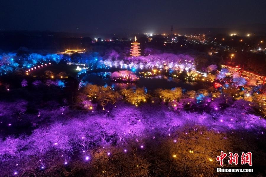 <p>Night view of blooming cherry blossoms at the East Lake Park in Wuhan, central China's Hubei Province, March 14, 2022. The blossoms are beautifully decorated by colorful lights for the night time, giving the park a charming and dream-like atmosphere and attracting lots of visitors. (Photo: China News Service/Zou Hao)</p>