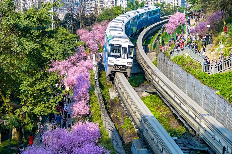 “开往春天的列车”  渝中区文化和旅游发展委员会供图