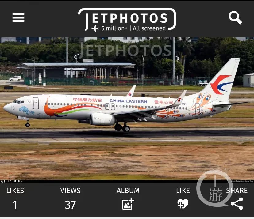 疑似出事的东航云南公司波音737飞机,飞机编号为b-1791,机龄6.8年.