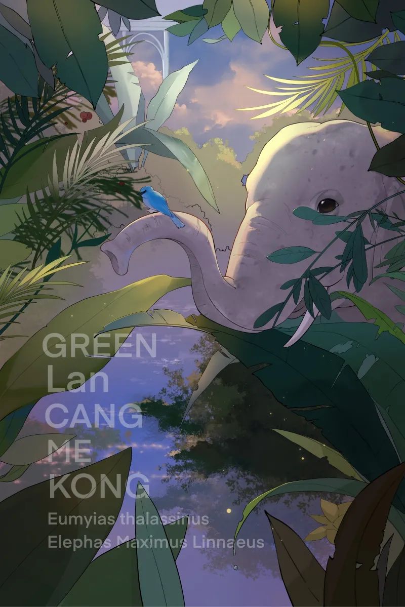 ▲宋美璇《澜湄路上》