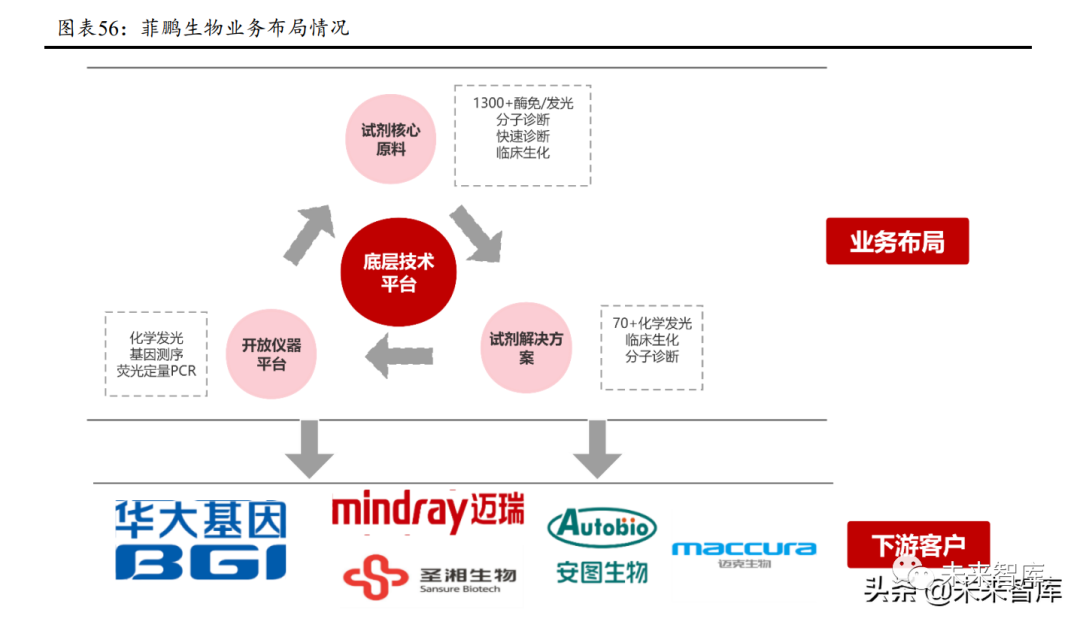 生物试剂行业研究报告:生物试剂长坡厚雪,国产替代方兴日盛