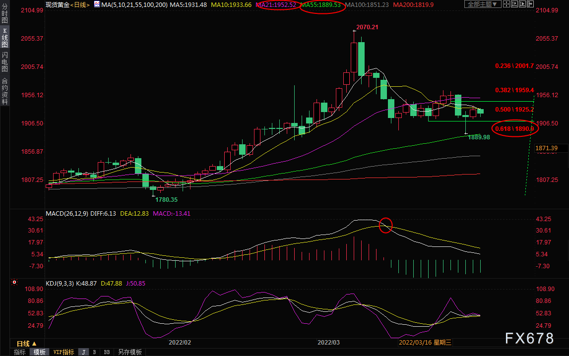  （现货黄金日线图）